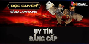 Giới thiệu tổng quan về Gawin88