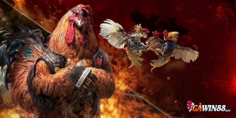 Tìm hiểu về sân chơi cá cược trực tuyến Gawin88