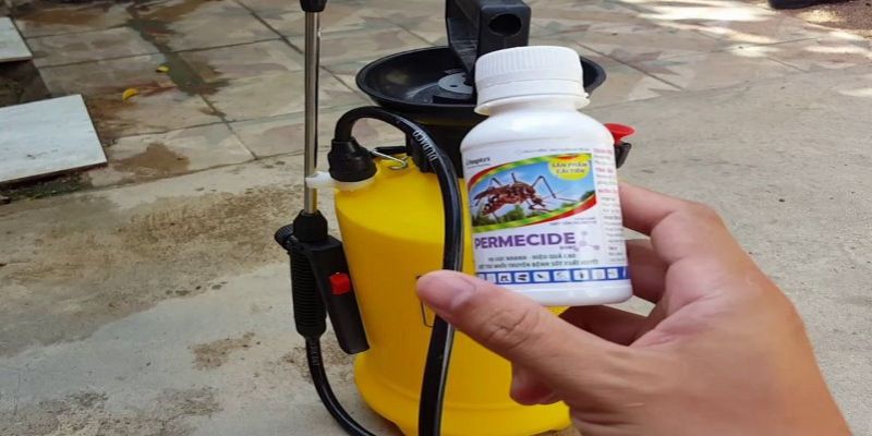 Cách trị mạt gà bằng thuốc được nhiều người áp dụng vì đơn giản và hiệu quả 