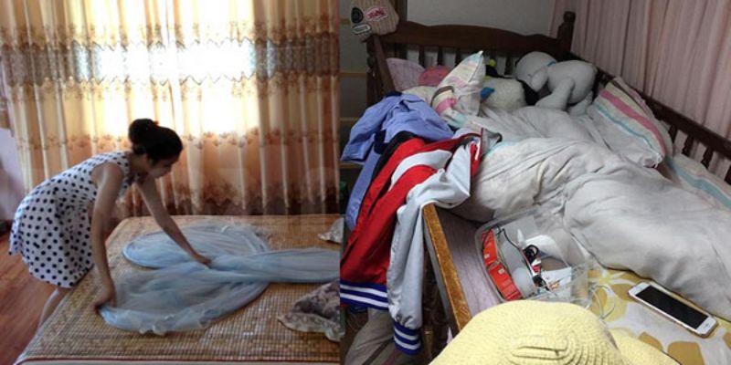 Mạt gà trú trên chăn chiếu, quần áo gây cảm giác ngứa và nhiều bệnh nguy hiểm