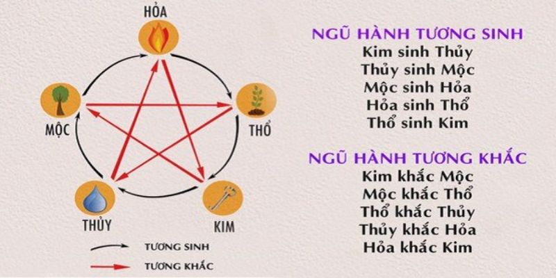 Xem mệnh chiến kê dựa vào phong thuỷ ngũ hành