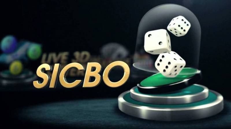 Trải nghiệm ván cược Sicbo đầy thú vị và kịch tính